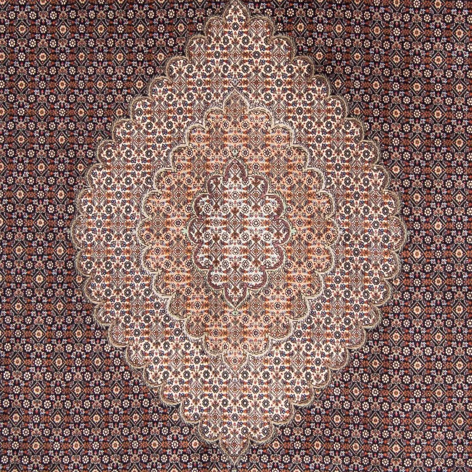 Tappeto Persero - Tabriz - 307 x 206 cm - blu scuro