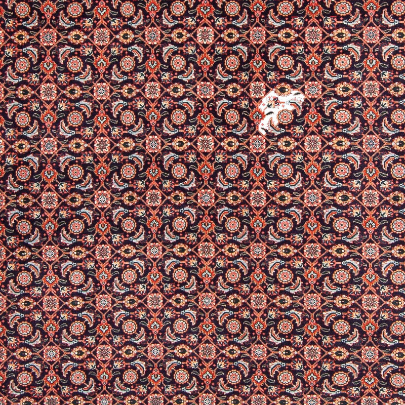 Tappeto Persero - Tabriz - 295 x 202 cm - blu scuro