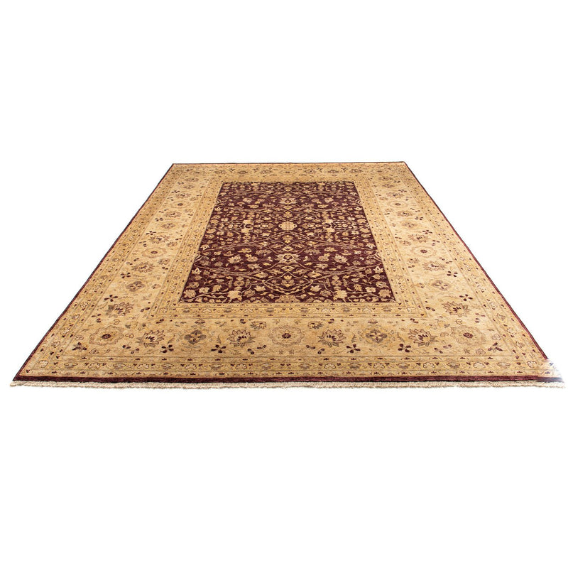 Tappeto Ziegler - 362 x 276 cm - marrone
