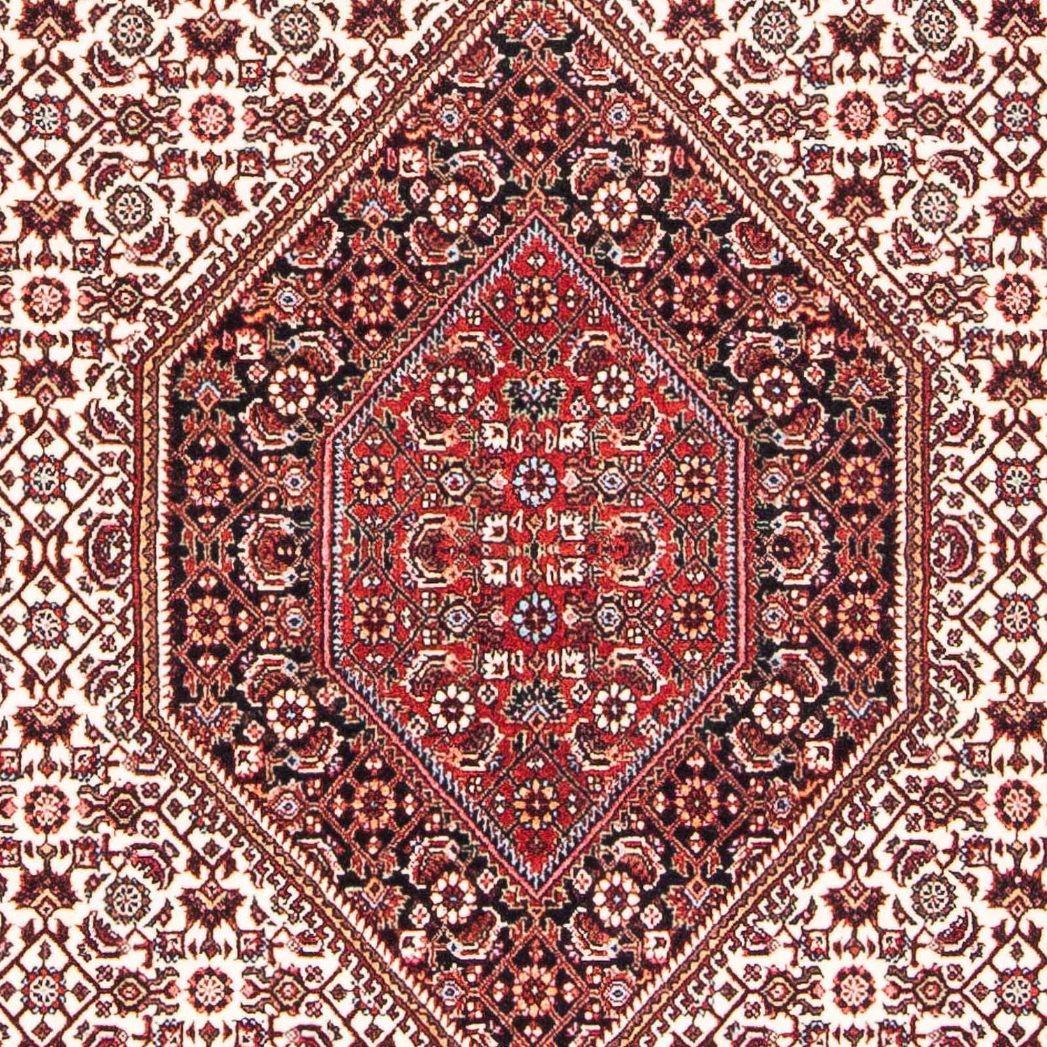 Tappeto Persero - Bidjar - 170 x 112 cm - beige