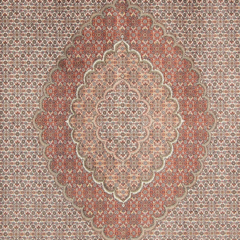 Tappeto Persero - Tabriz - 305 x 198 cm - marrone