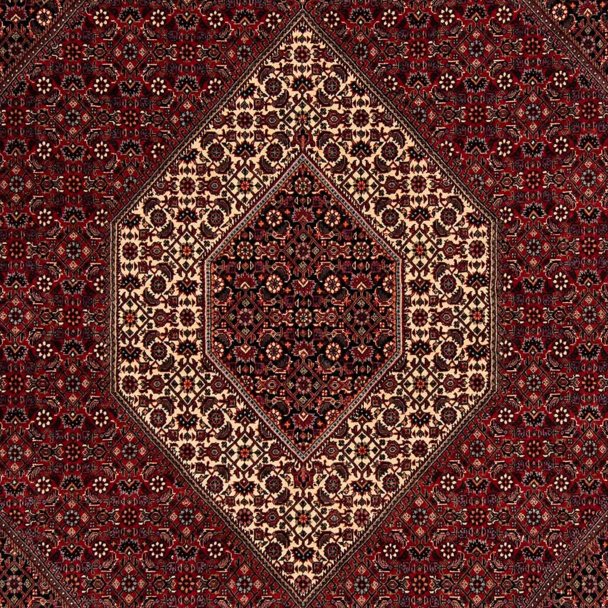 Tappeto Persero - Bidjar - 247 x 202 cm - rosso scuro