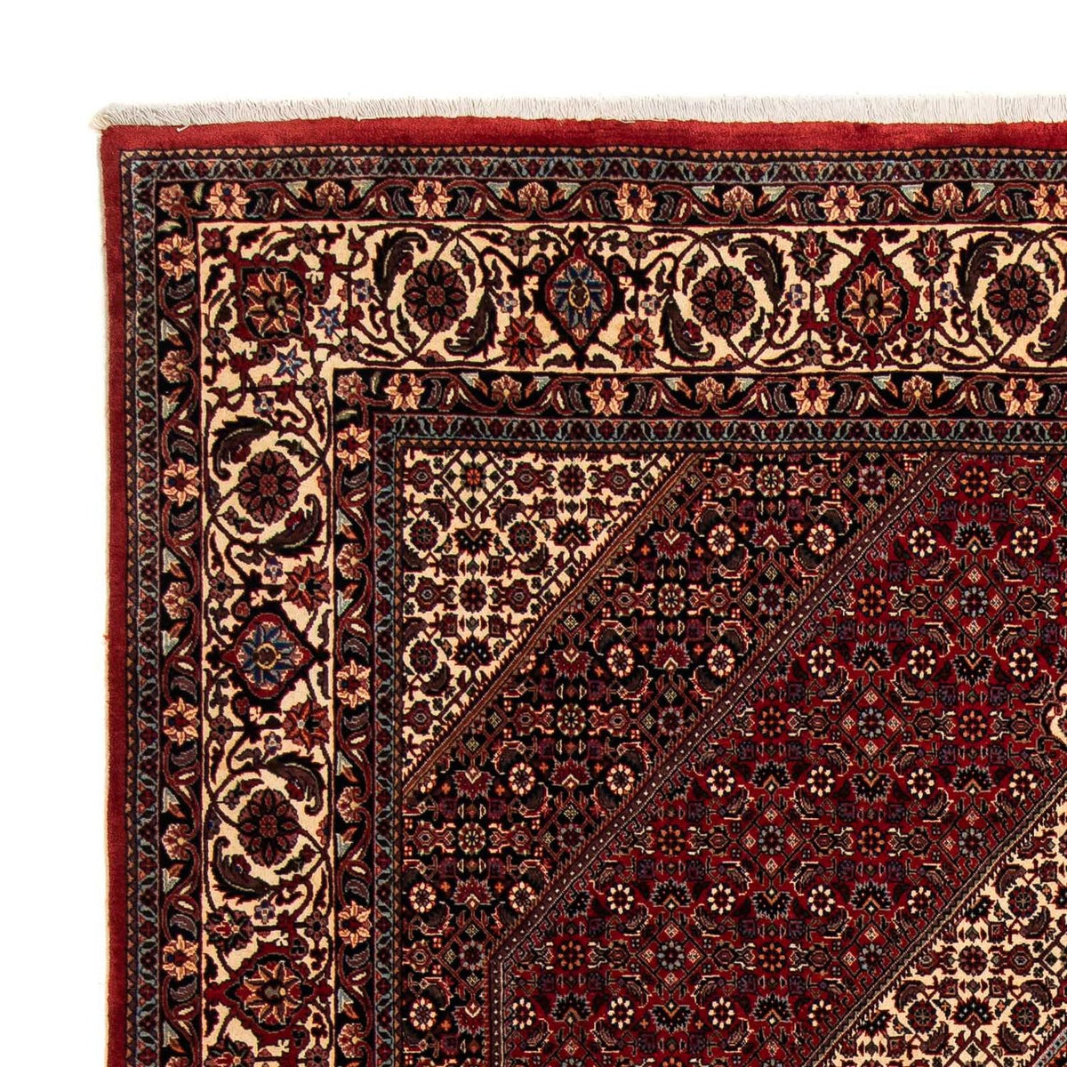 Tappeto Persero - Bidjar - 247 x 202 cm - rosso scuro