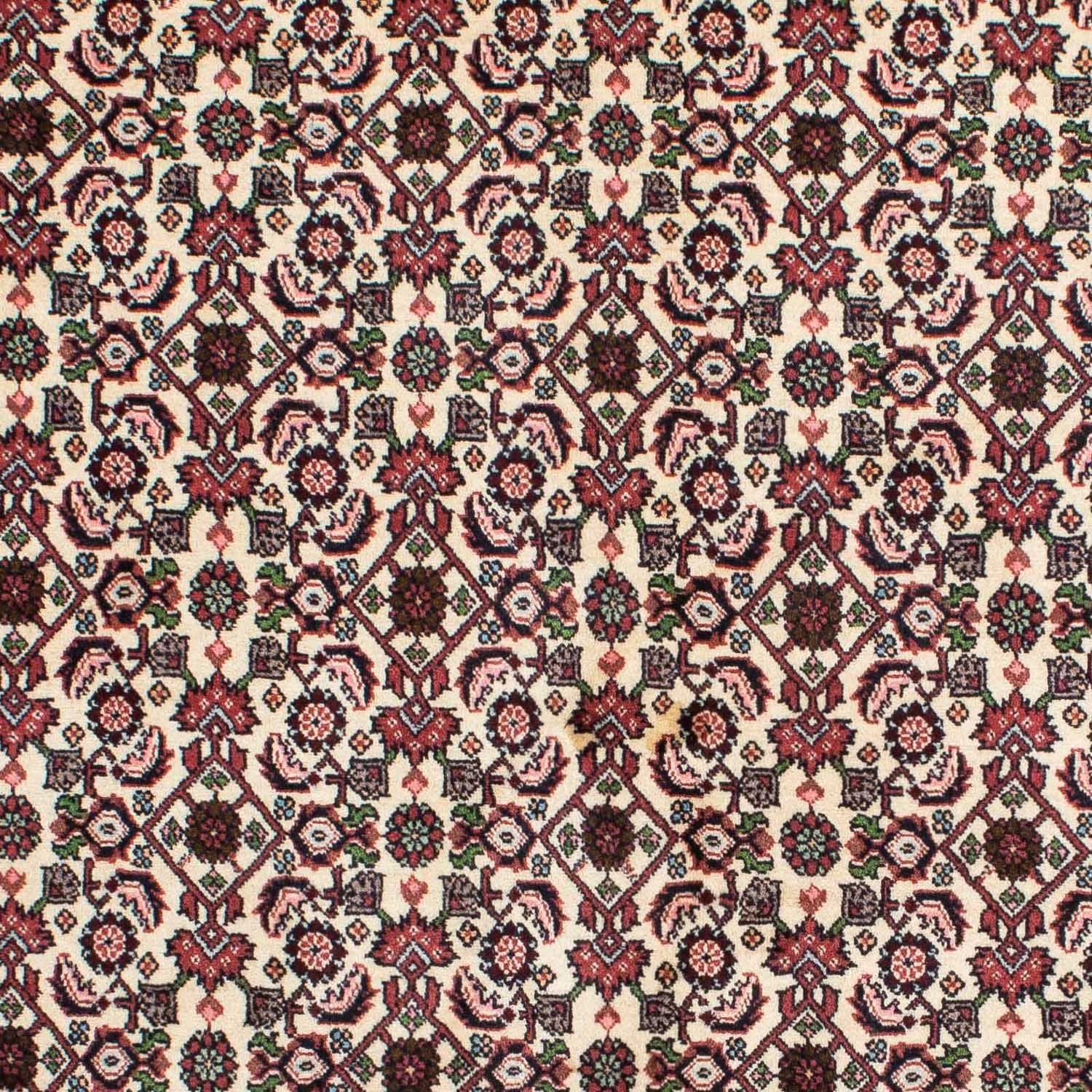 Tappeto Persero - Bidjar - 215 x 142 cm - beige