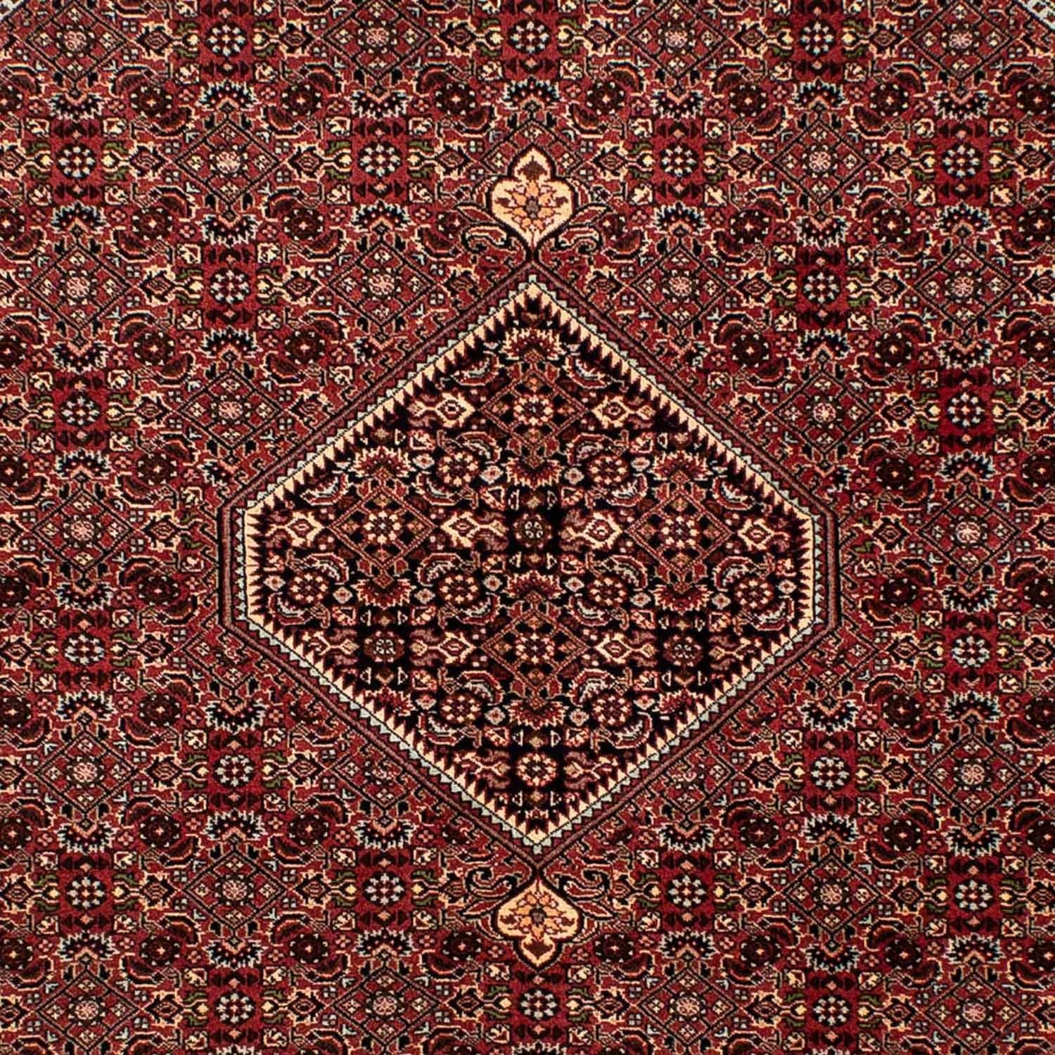 Tappeto Persero - Bidjar - 242 x 170 cm - marrone