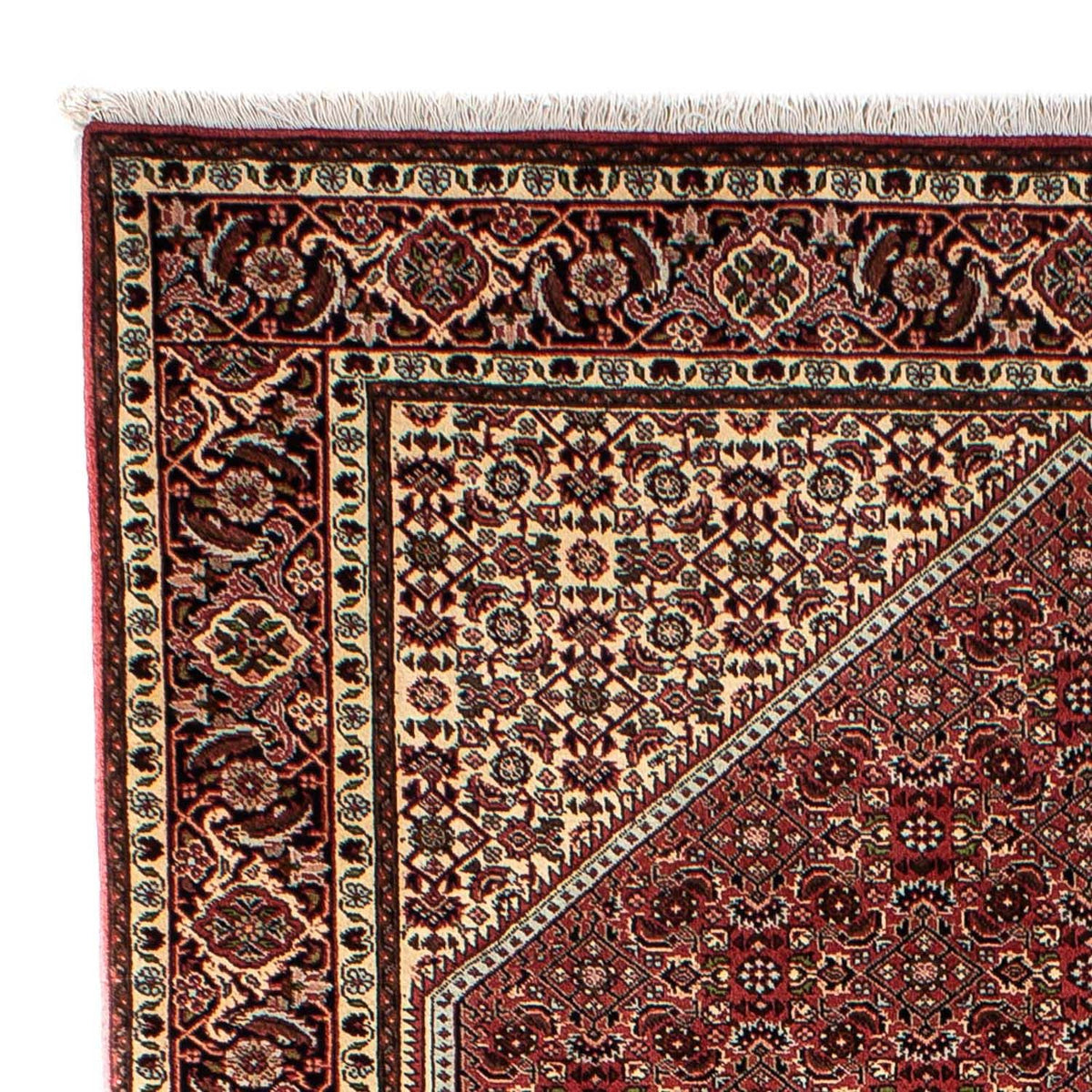 Bidjar Tappeto 170x242cm - Tappeto persiano
