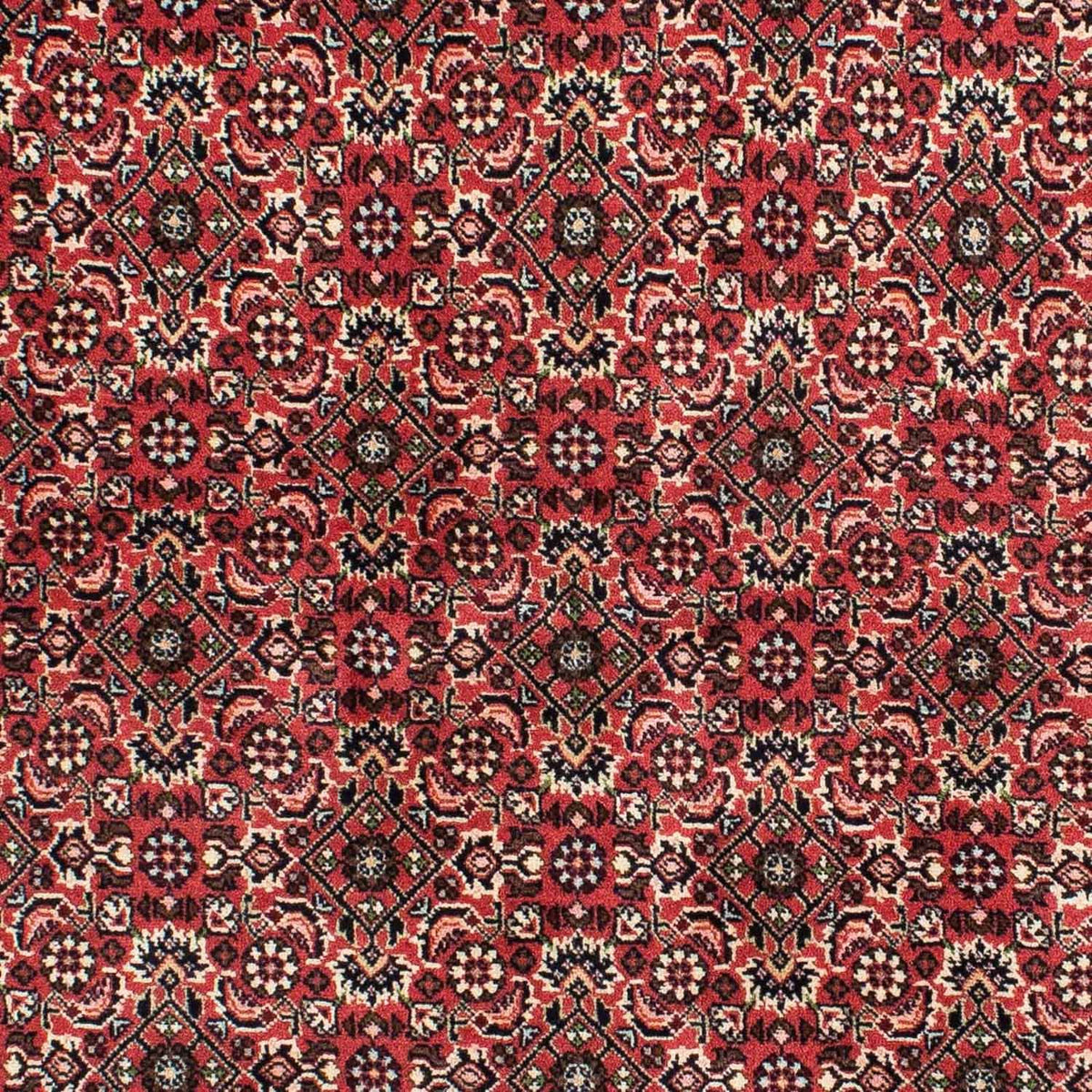 Tappeto Persero - Bidjar - 208 x 139 cm - rosso