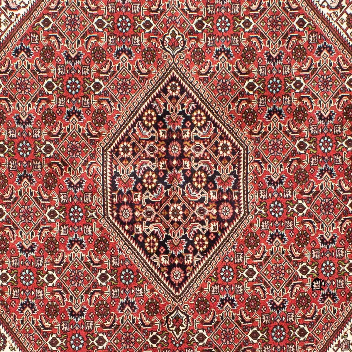 Tappeto Persero - Bidjar - 245 x 172 cm - rosso chiaro