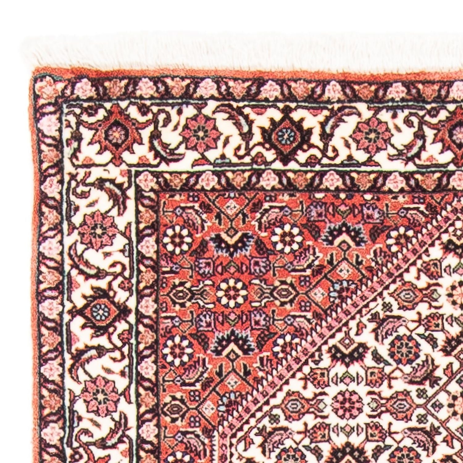 Tappeto Persero - Bidjar - 151 x 79 cm - beige