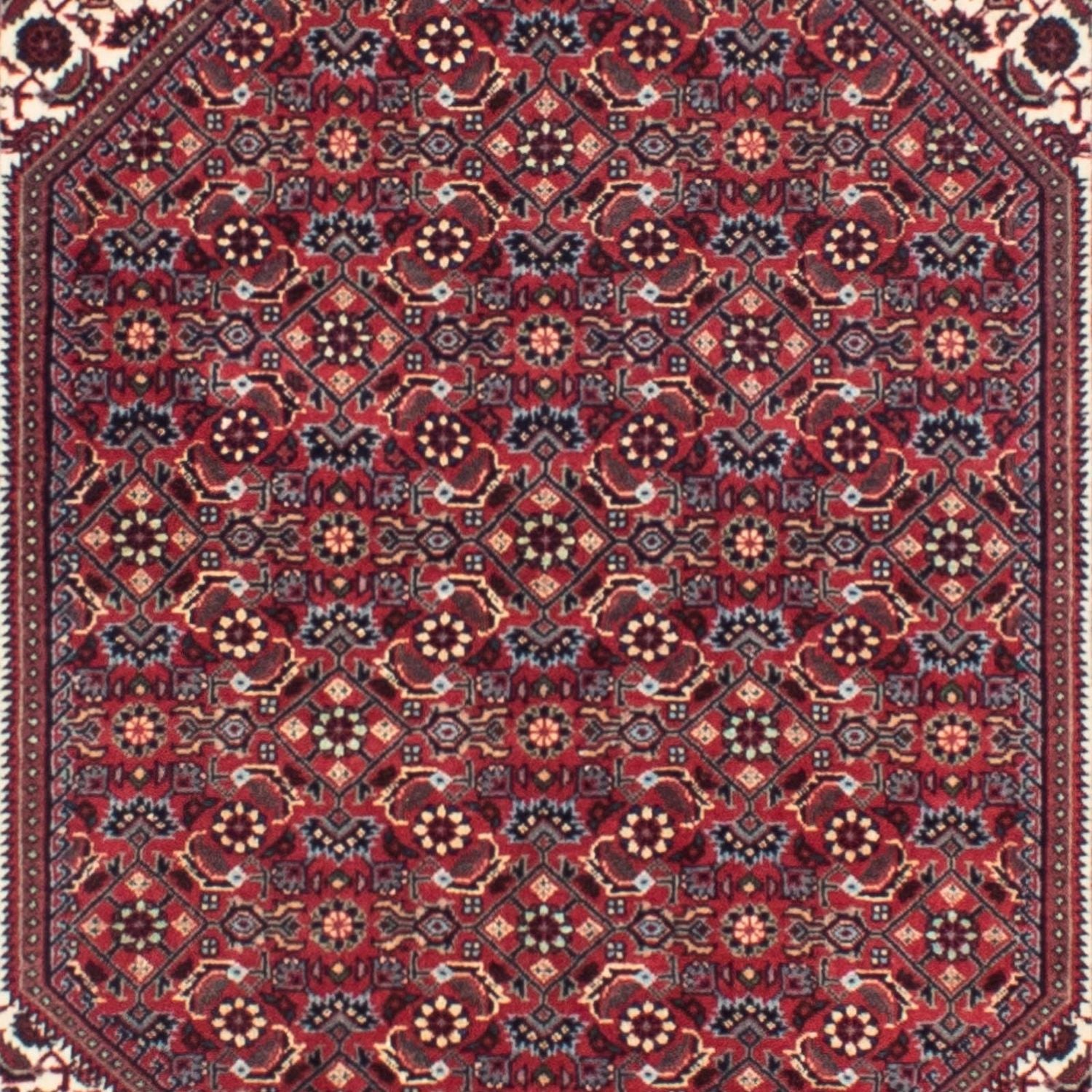 Tappeto corsia Tappeto Persero - Bidjar - 313 x 83 cm - rosso scuro