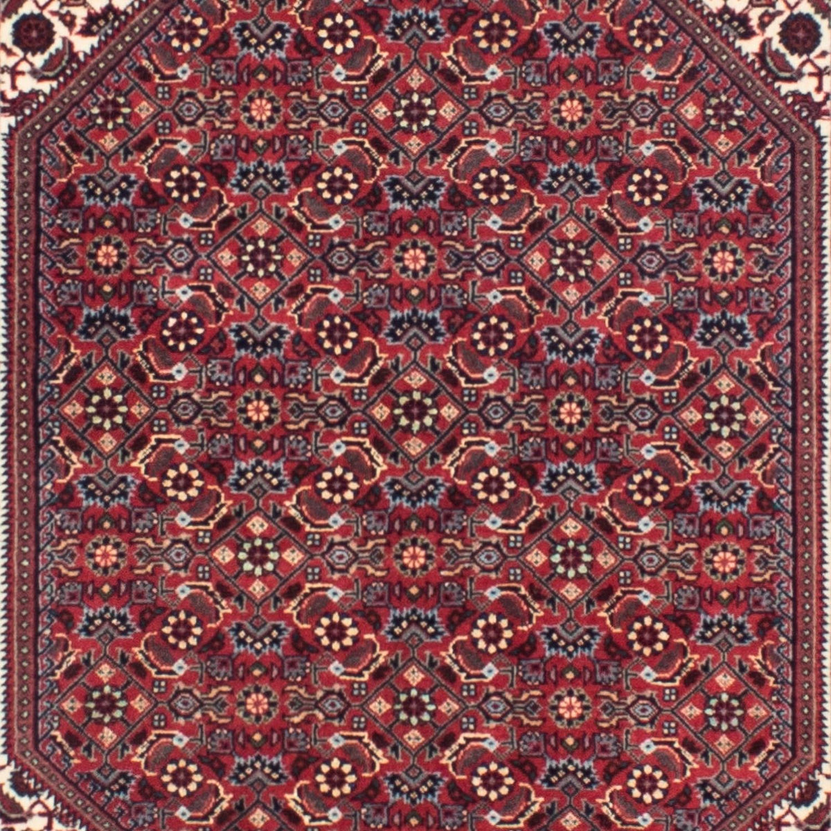 Tappeto corsia Tappeto Persero - Bidjar - 313 x 83 cm - rosso scuro