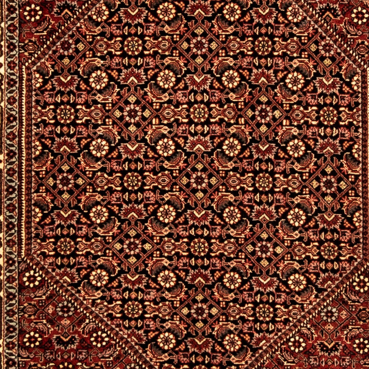 Tappeto corsia Tappeto Persero - Bidjar - 307 x 84 cm - multicolore