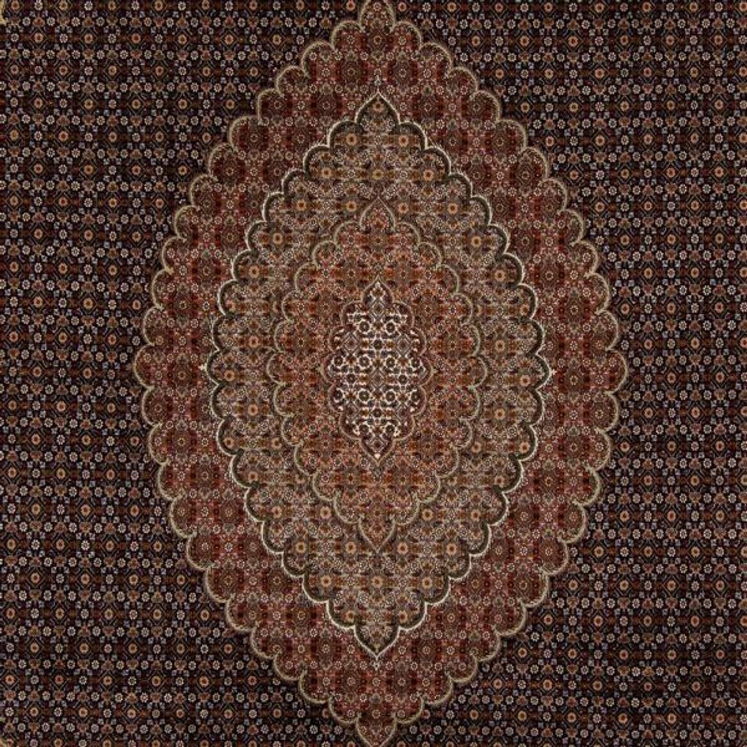 Tappeto Persero - Tabriz - 346 x 252 cm - marrone