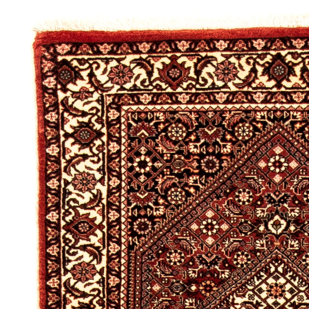 Tappeto corsia Tappeto Persero - Bidjar - 307 x 73 cm - multicolore