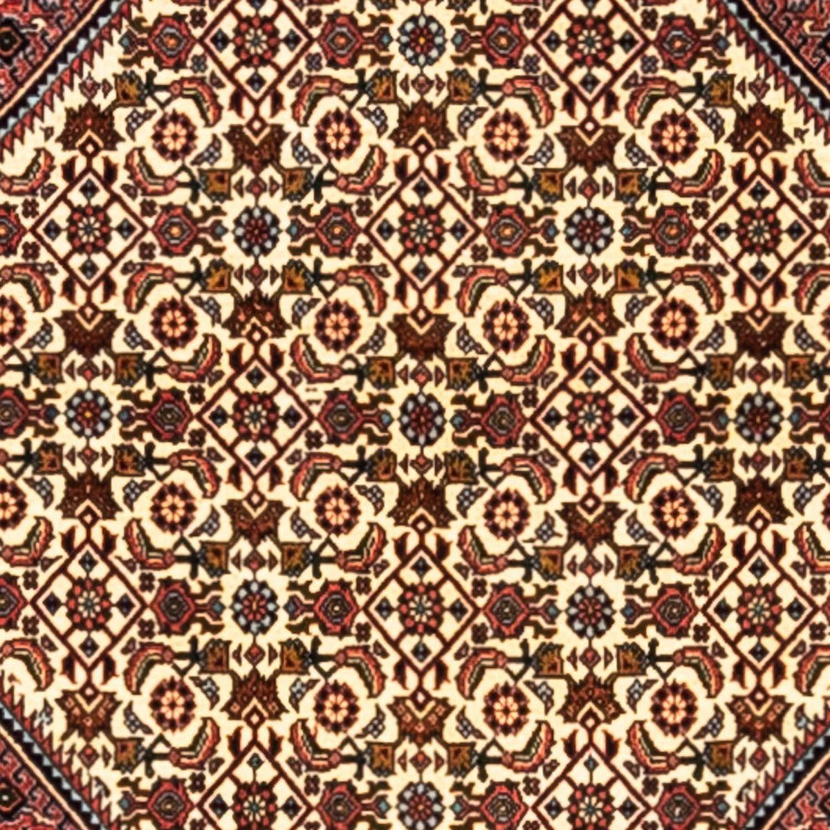 Tappeto Persero - Bidjar - 291 x 200 cm - rosso