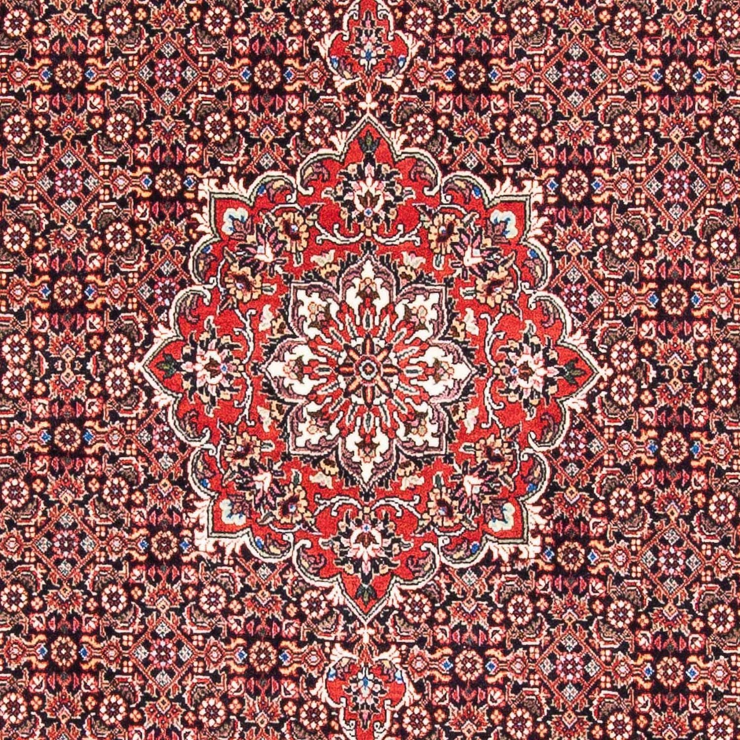Tappeto Persero - Bidjar - 170 x 109 cm - rosso