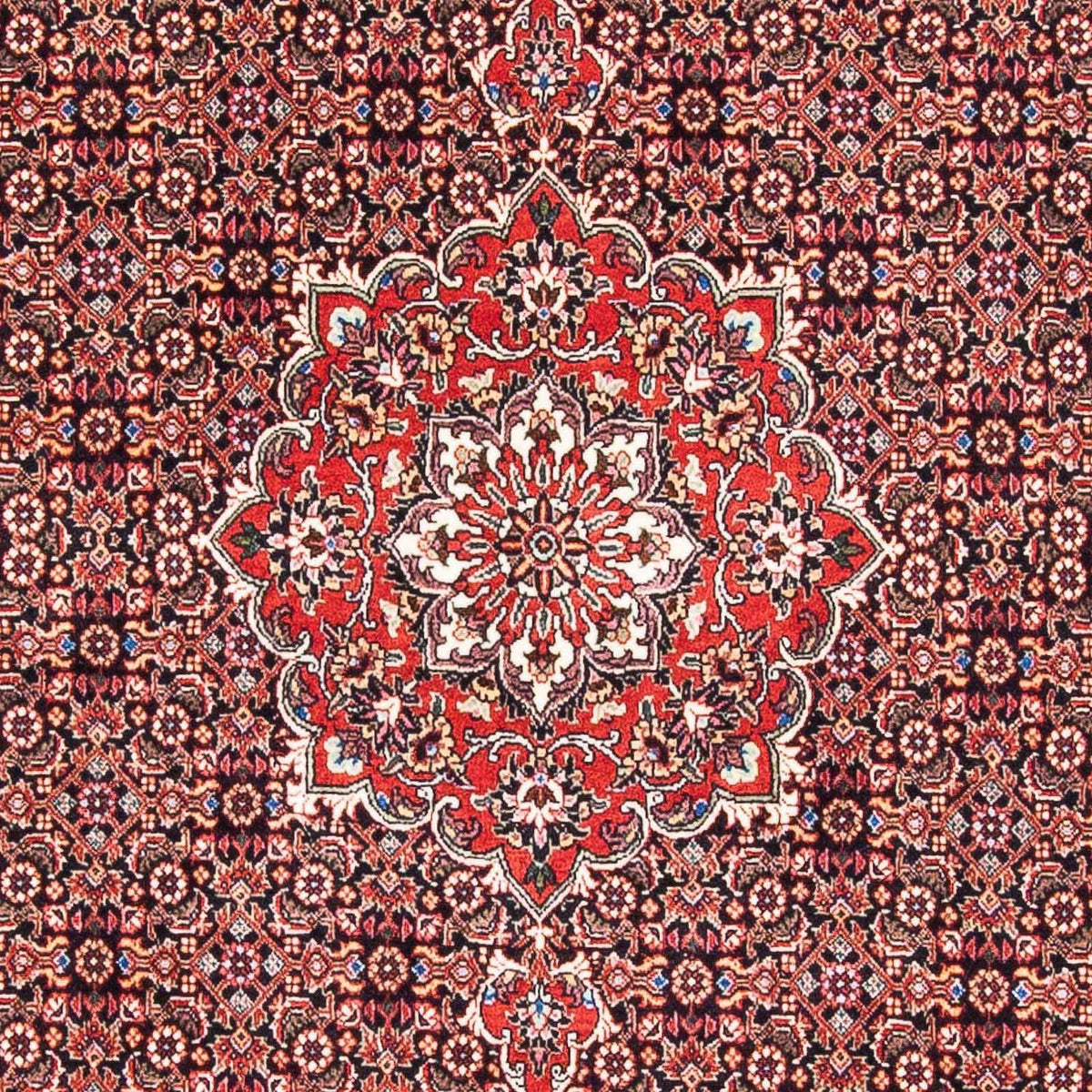 Tappeto Persero - Bidjar - 170 x 109 cm - rosso