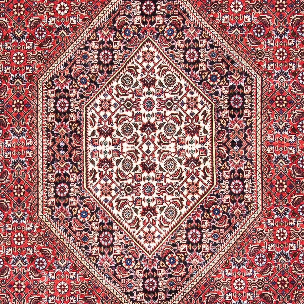 Tappeto Persero - Bidjar - 175 x 110 cm - rosso