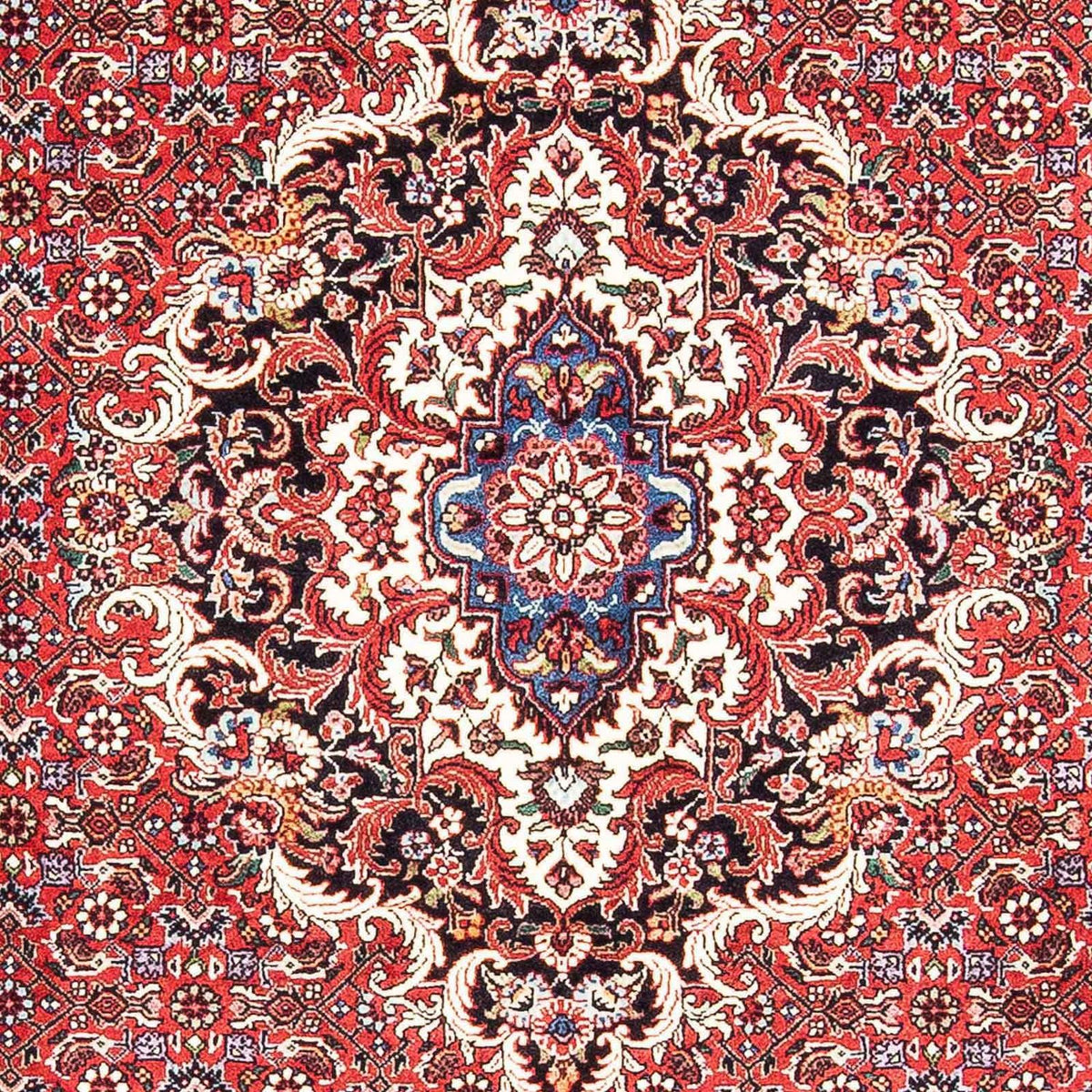Tappeto Persero - Bidjar - 181 x 111 cm - rosso