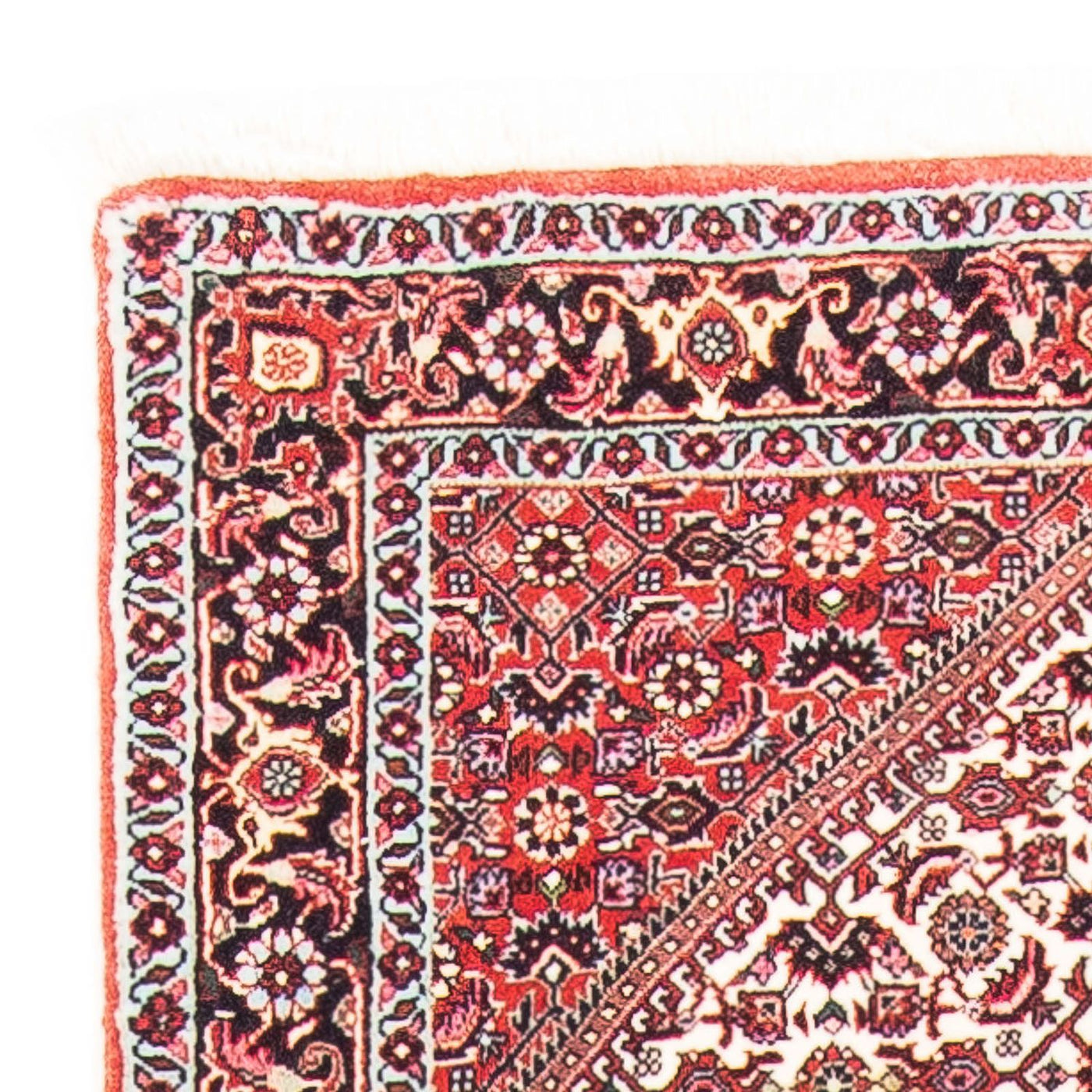 Bidjar Tappeto 152x75cm - Tappeto persiano