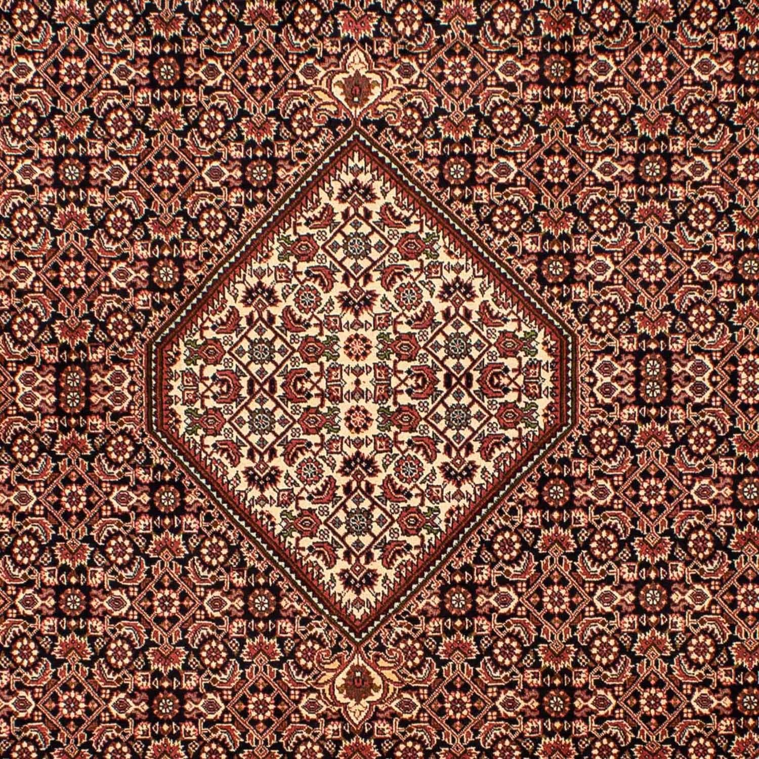 Tappeto Persero - Bidjar - 296 x 198 cm - marrone