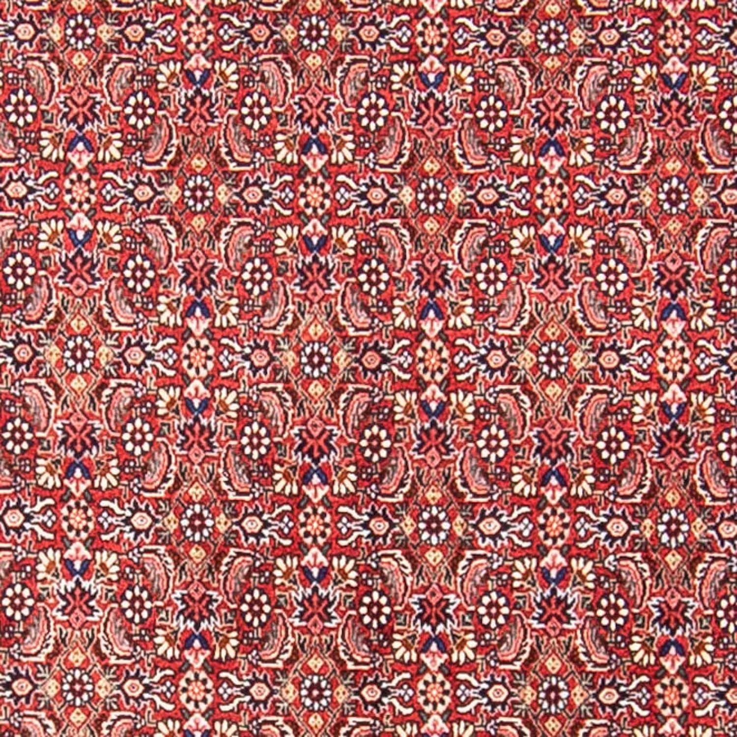 Tappeto Persero - Bidjar - 307 x 248 cm - rosso chiaro