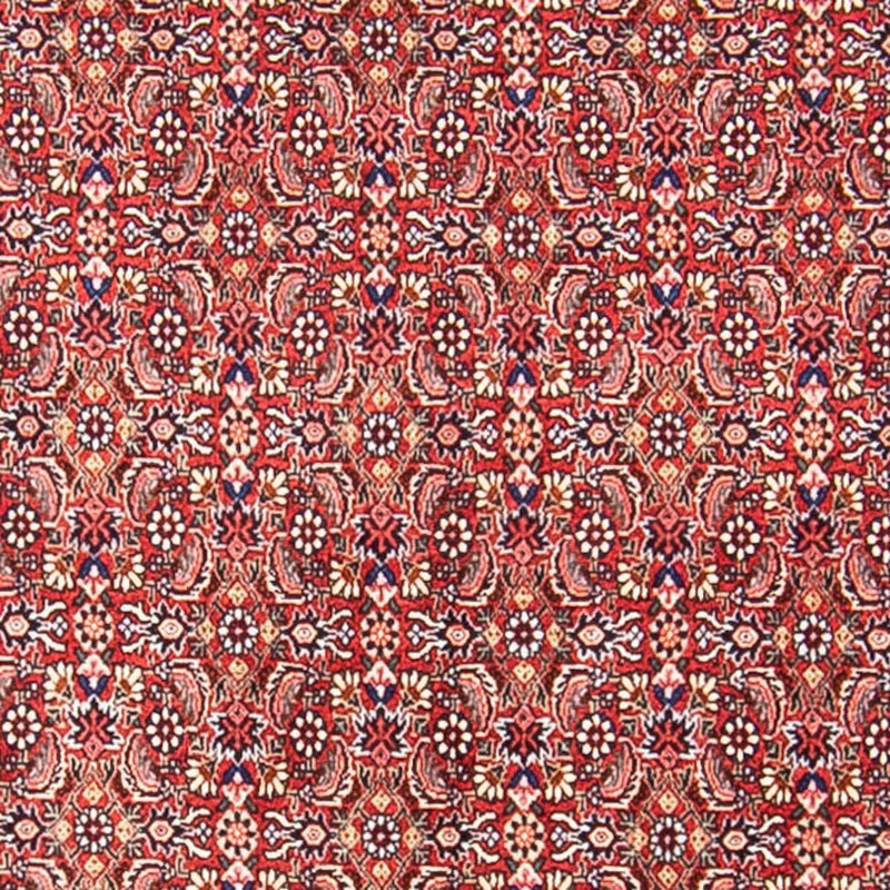 Tappeto Persero - Bidjar - 307 x 248 cm - rosso chiaro