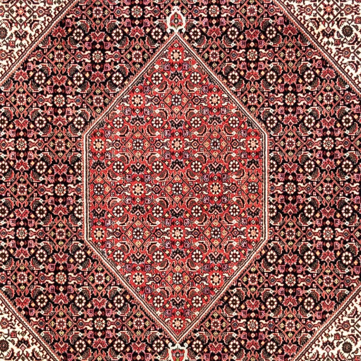 Tappeto Persero - Bidjar - 349 x 252 cm - rosso
