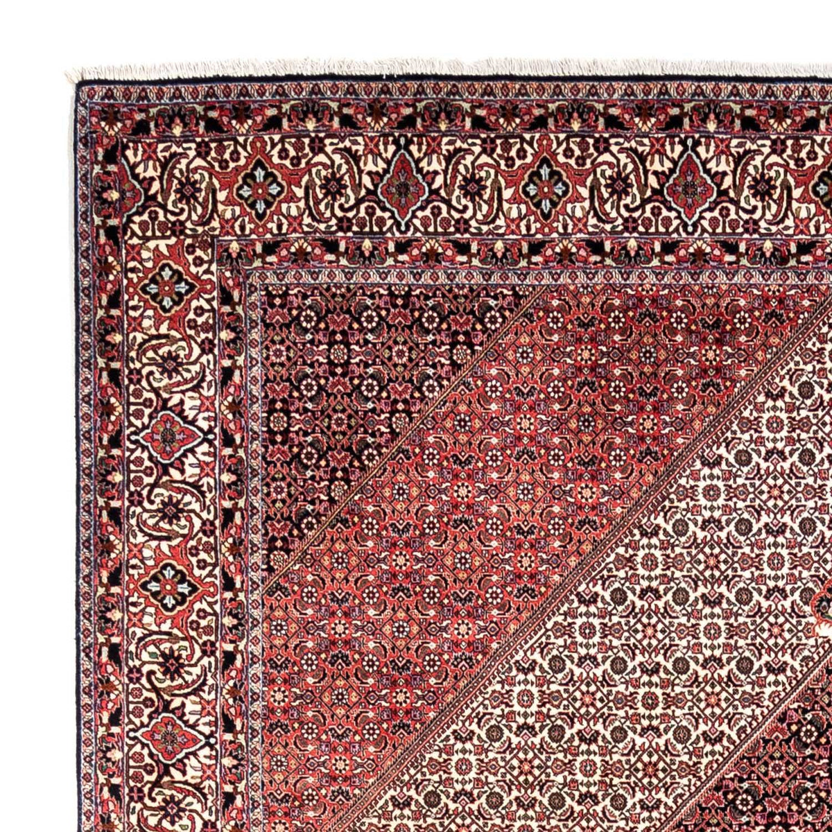 Bidjar - Takab Tappeto 252x349cm - Tappeto persiano
