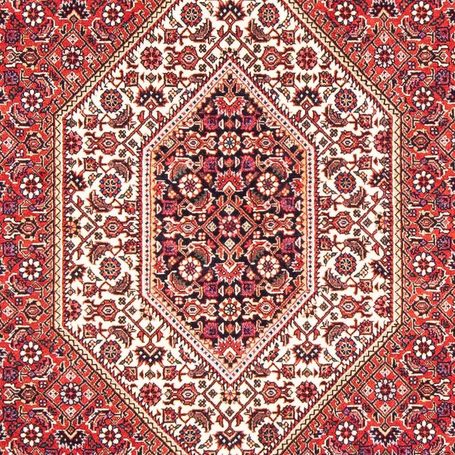 Tappeto Persero - Bidjar - 171 x 112 cm - rosso