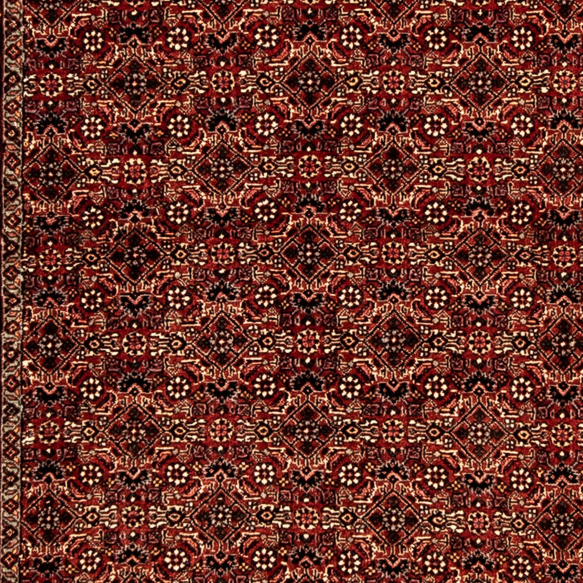 Tappeto corsia Tappeto Persero - Bidjar - 305 x 86 cm - multicolore