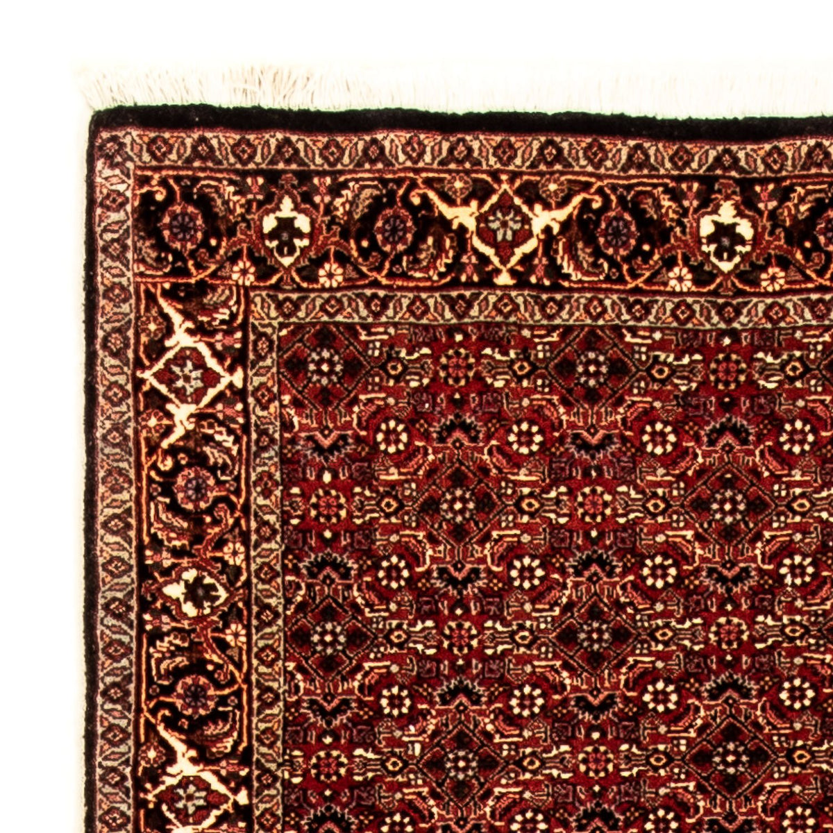 Tappeto corsia Tappeto Persero - Bidjar - 305 x 86 cm - multicolore