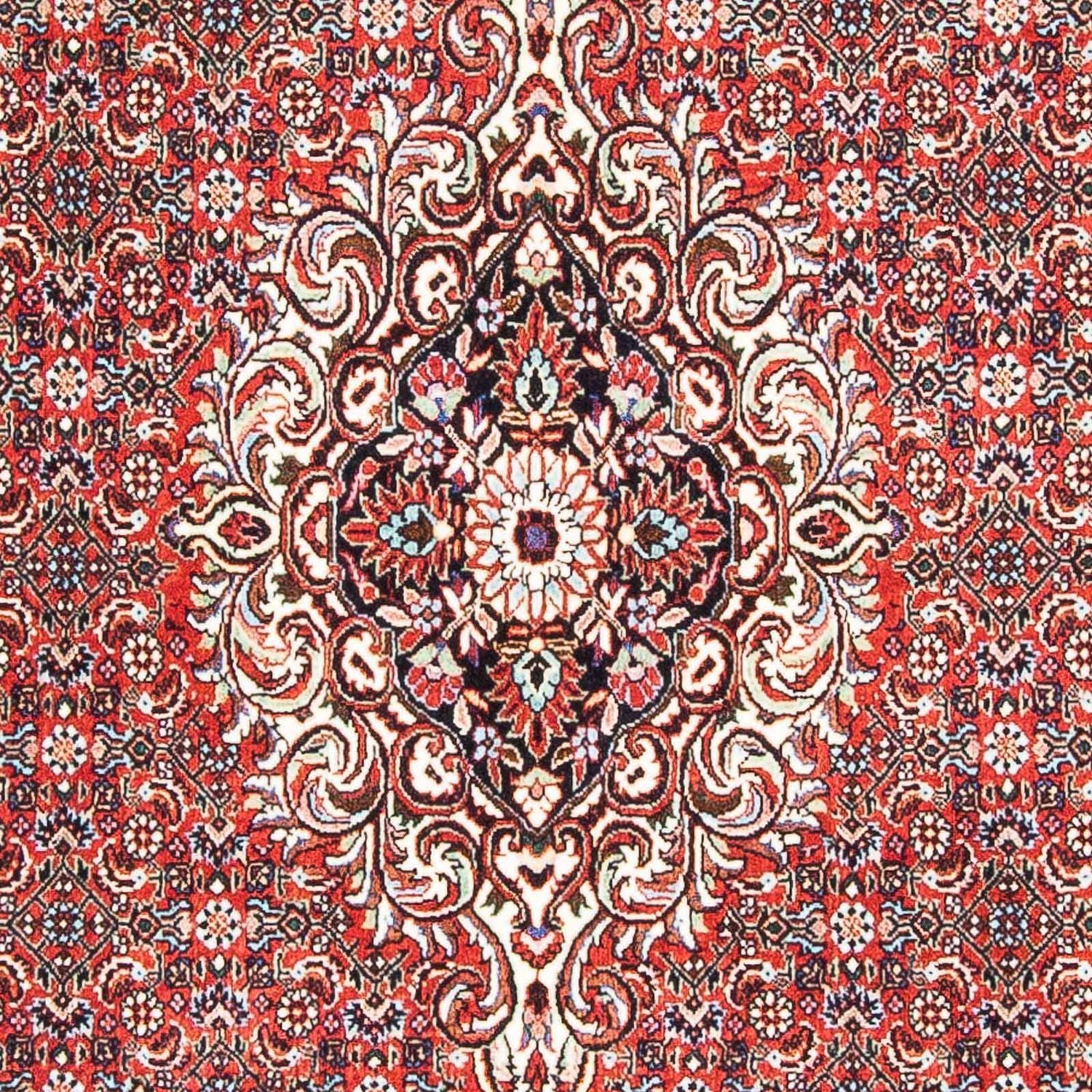 Tappeto Persero - Bidjar - 169 x 112 cm - rosso