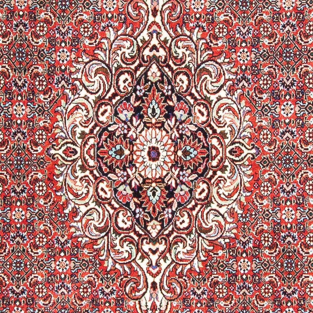 Tappeto Persero - Bidjar - 169 x 112 cm - rosso