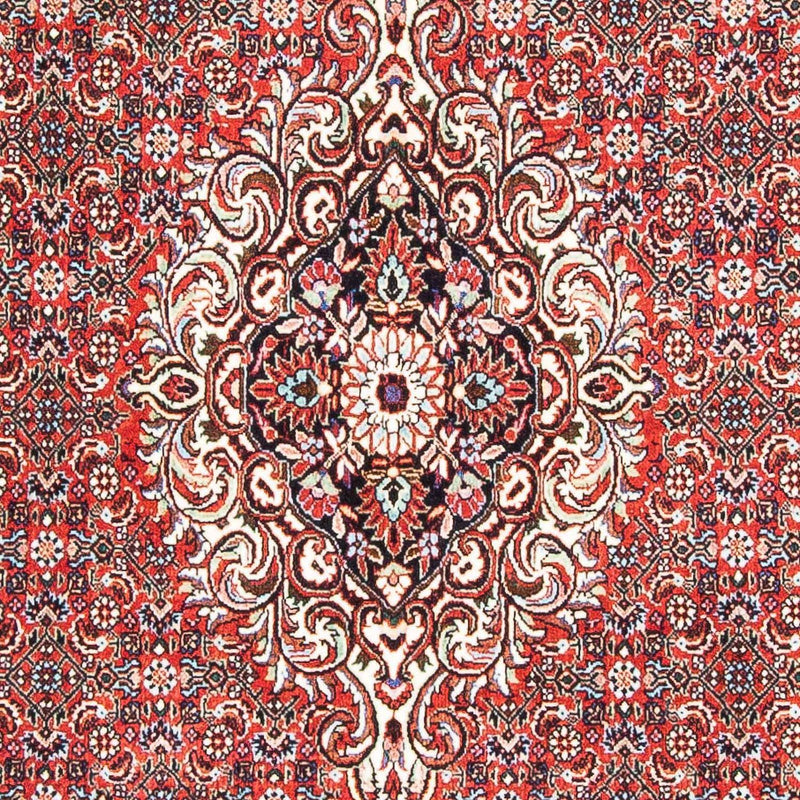 Tappeto Persero - Bidjar - 169 x 112 cm - rosso