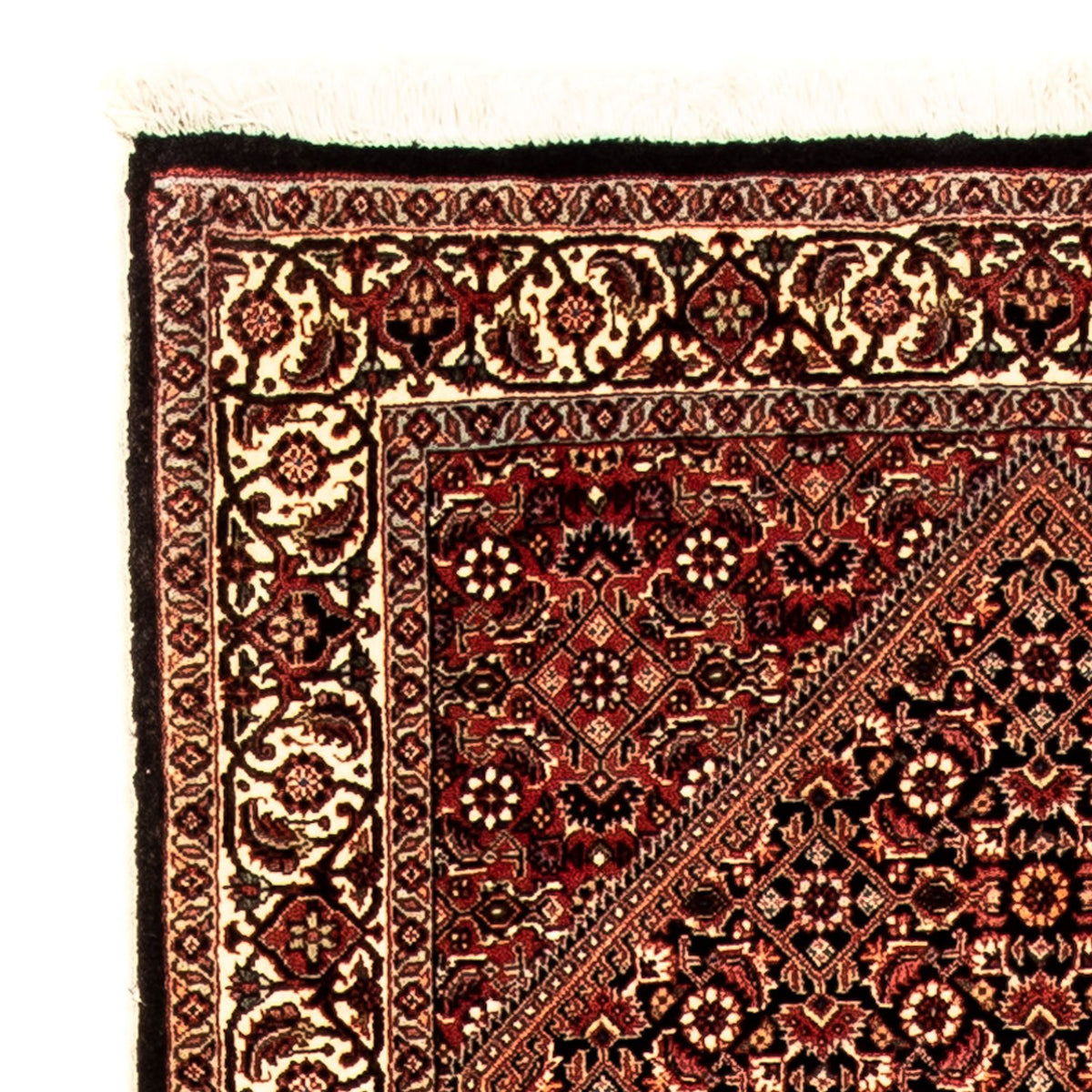 Tappeto corsia Tappeto Persero - Bidjar - 310 x 83 cm - multicolore