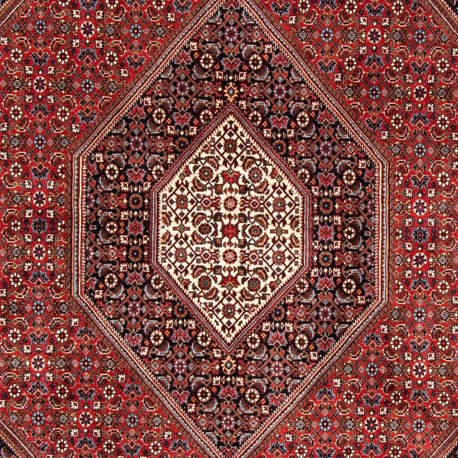 Tappeto Persero - Bidjar - 246 x 170 cm - ruggine