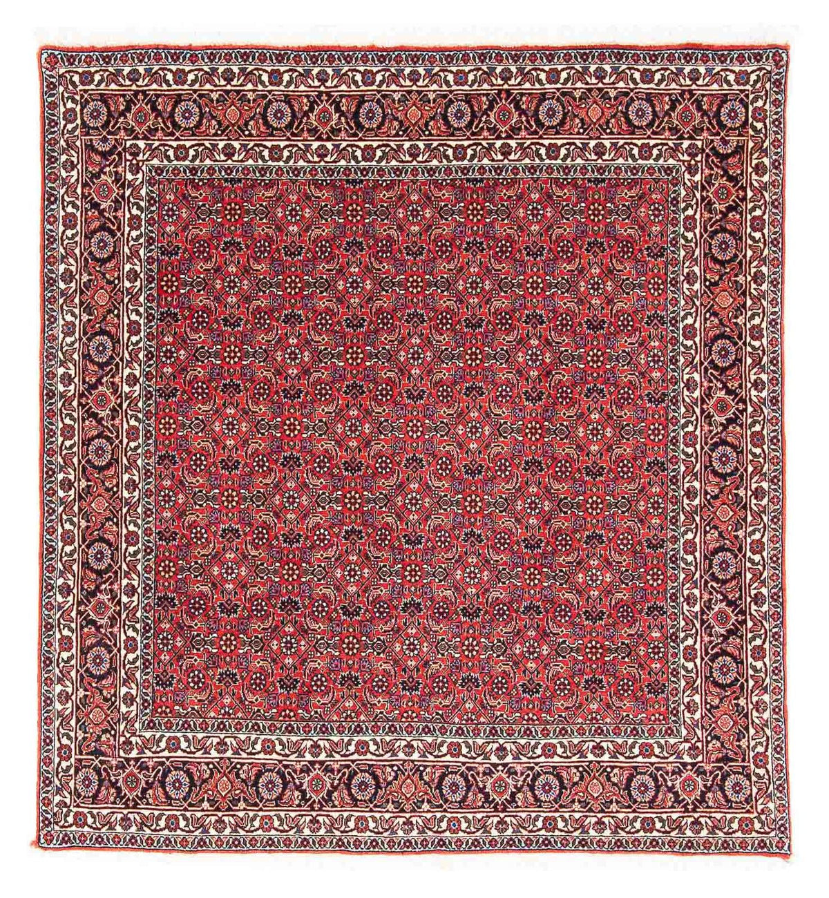 Tappeto Persero - Bidjar quadrato  - 126 x 124 cm - rosso