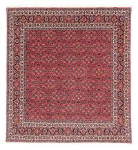 Tappeto Persero - Bidjar quadrato  - 126 x 124 cm - rosso