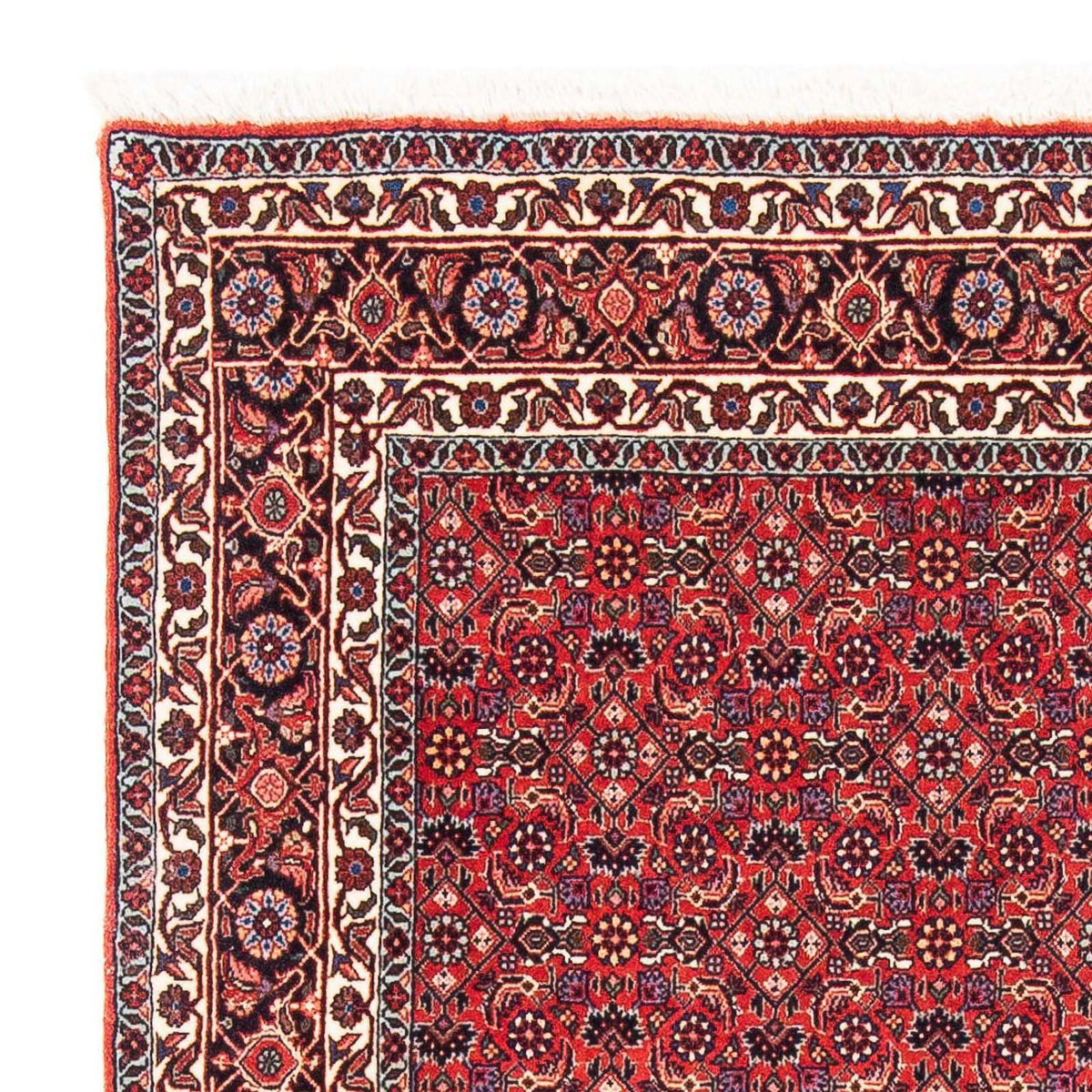 Tappeto Persero - Bidjar quadrato  - 126 x 124 cm - rosso