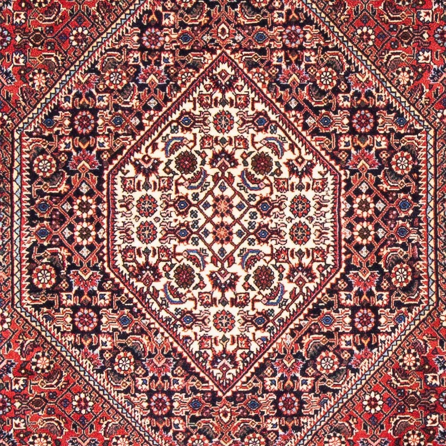 Tappeto Persero - Bidjar - 170 x 110 cm - rosso