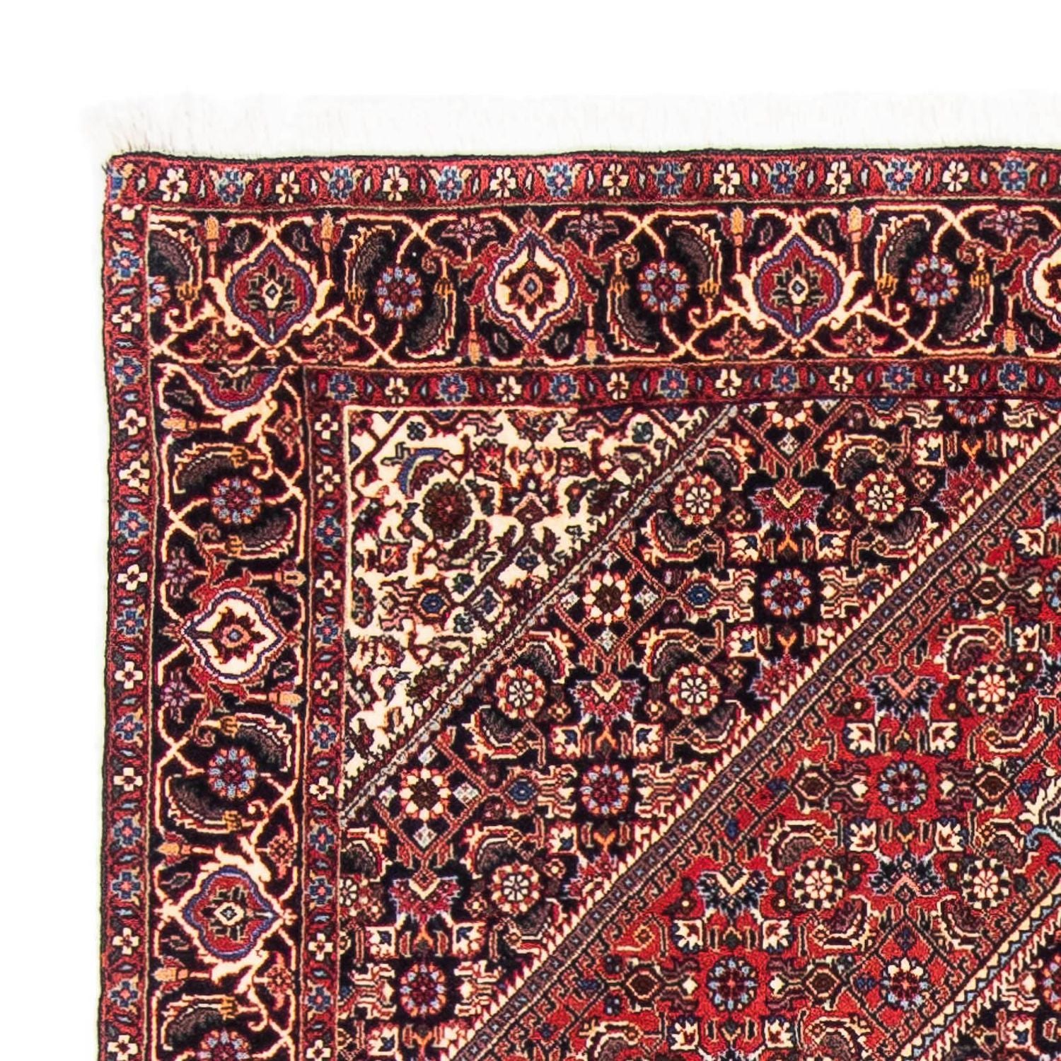 Tappeto Persero - Bidjar - 170 x 110 cm - rosso
