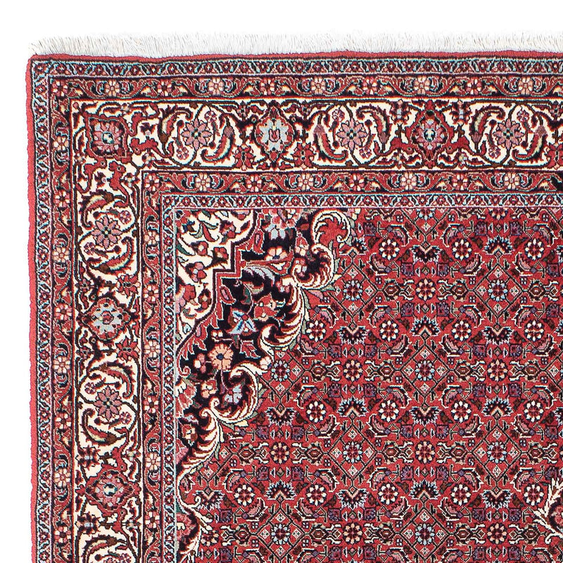 Tappeto Persero - Bidjar - 220 x 153 cm - rosso