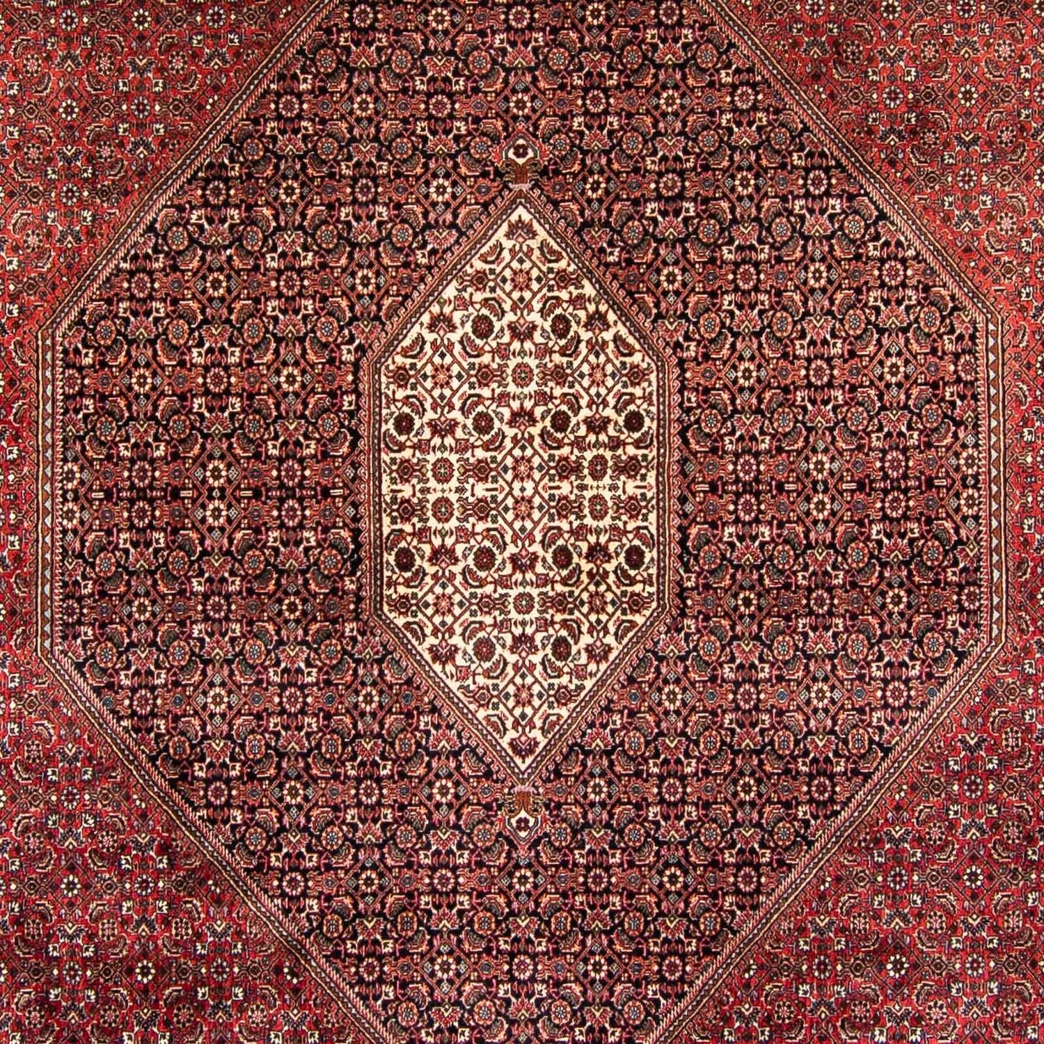 Tappeto Persero - Bidjar - 382 x 249 cm - rosso scuro