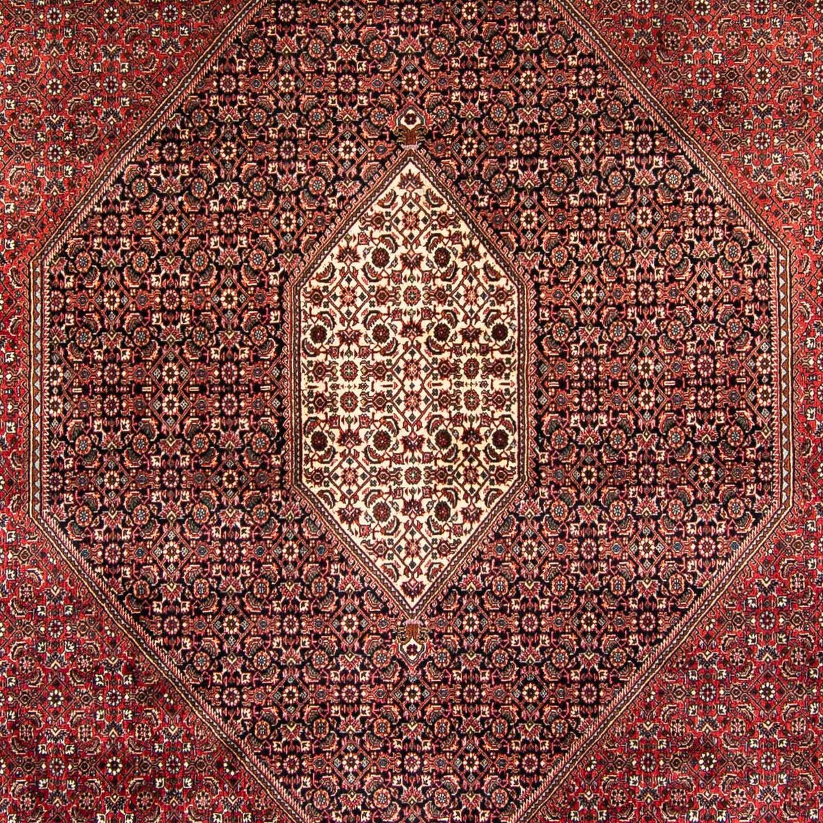 Tappeto Persero - Bidjar - 382 x 249 cm - rosso scuro