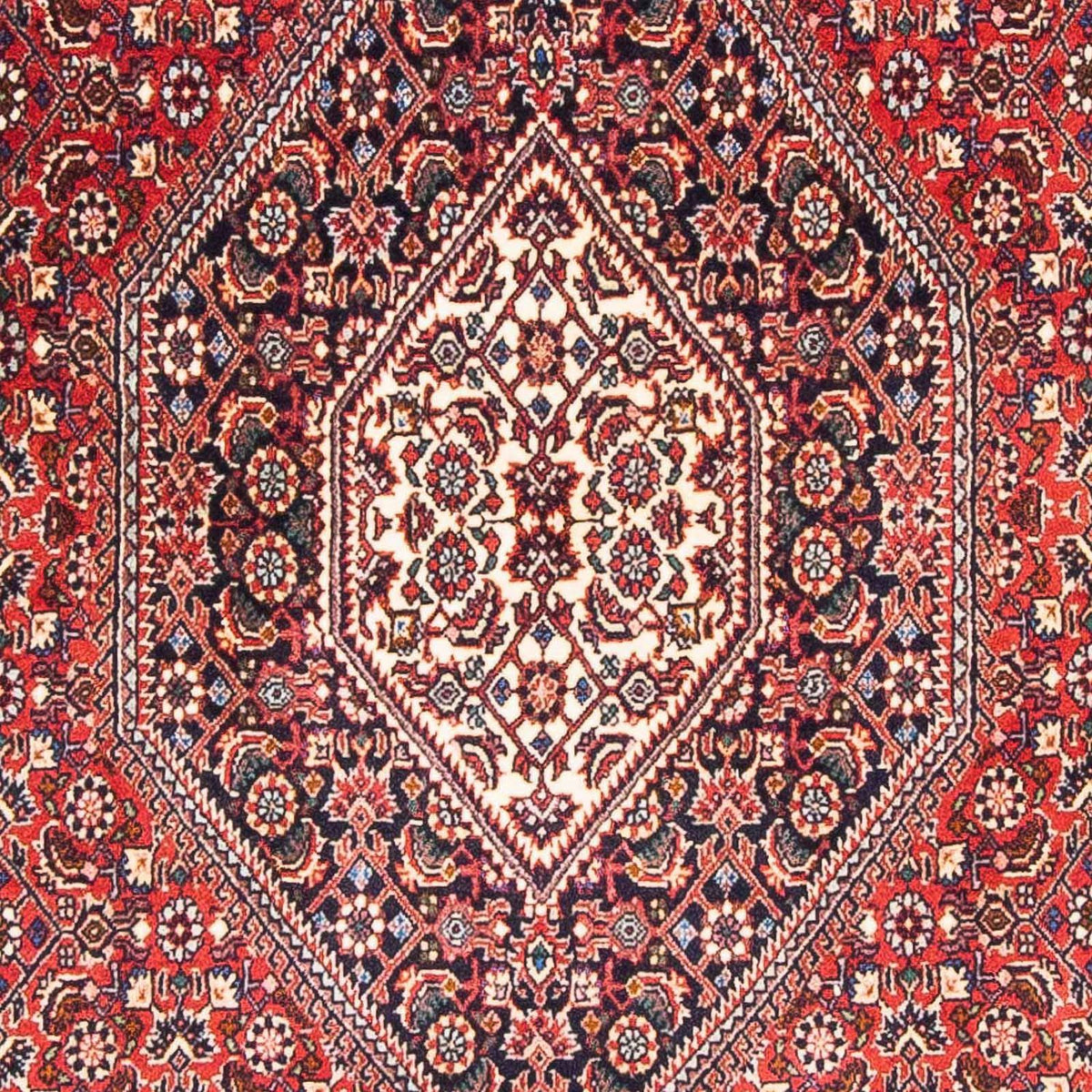 Tappeto Persero - Bidjar - 182 x 111 cm - rosso
