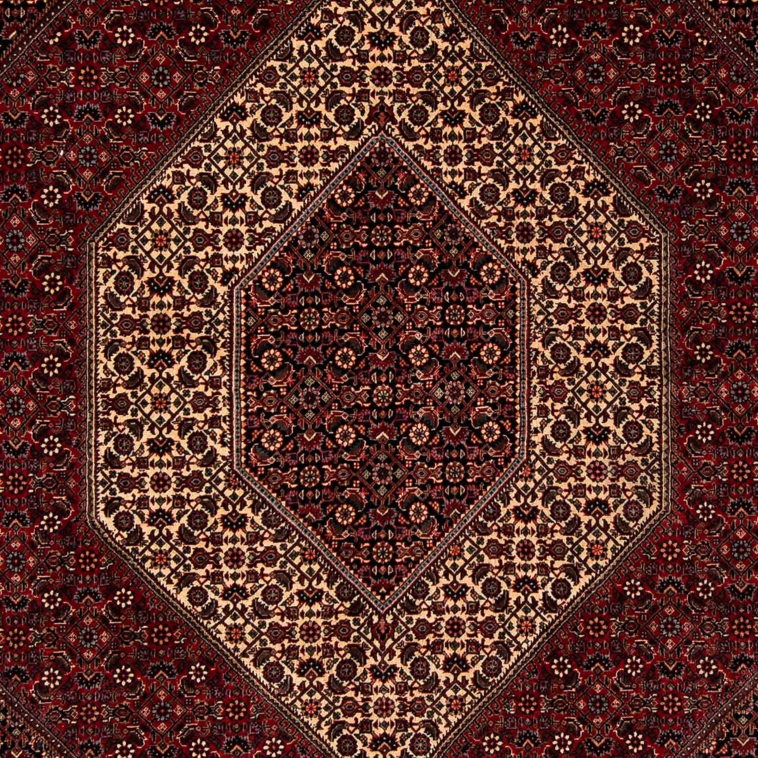 Tappeto Persero - Bidjar - 255 x 202 cm - rosso scuro