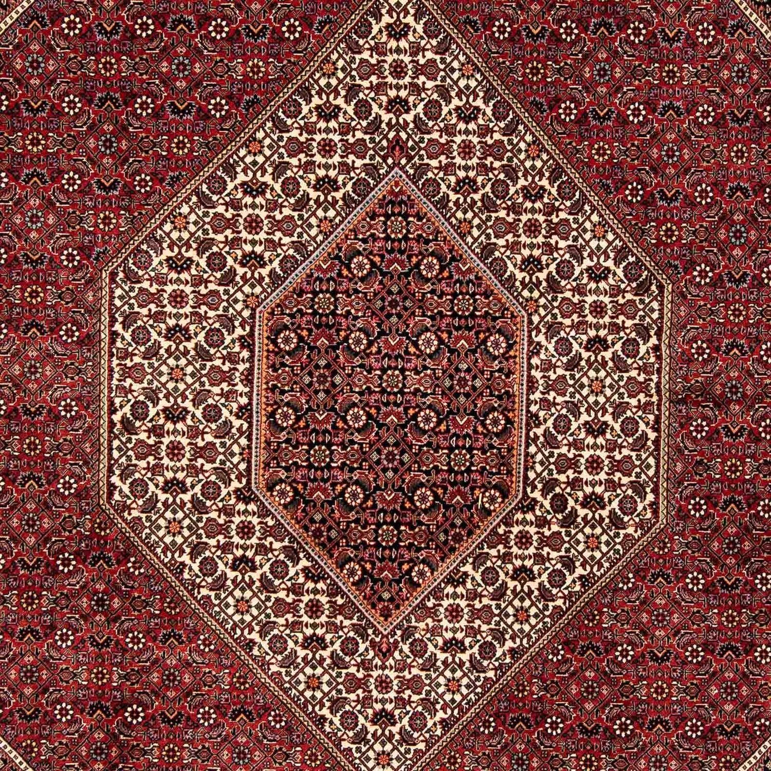 Tappeto Persero - Bidjar - 252 x 205 cm - rosso scuro
