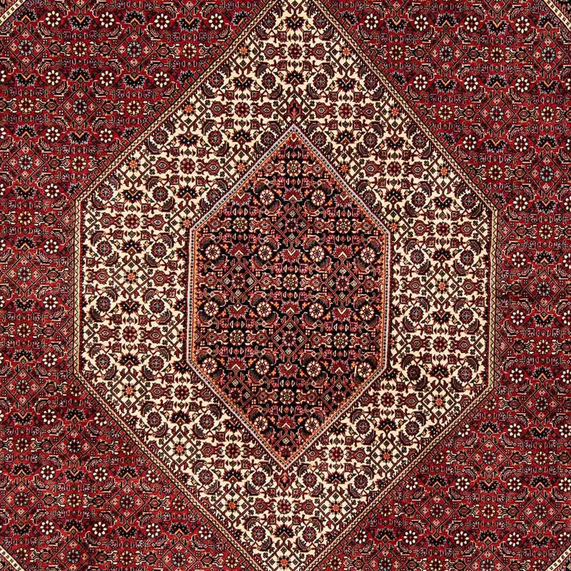 Tappeto Persero - Bidjar - 252 x 205 cm - rosso scuro