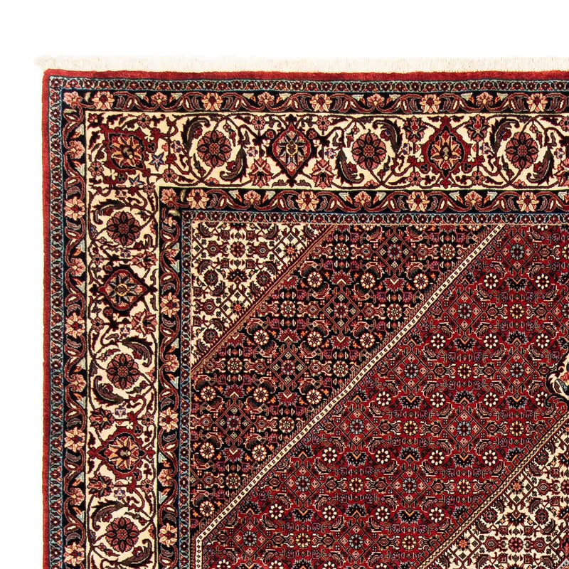 Tappeto Persero - Bidjar - 252 x 205 cm - rosso scuro